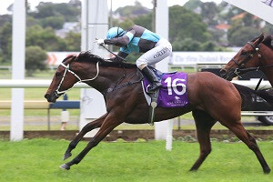 Alamer wins the Listed Trevor Eagle Memorial Stakes. TDunell.